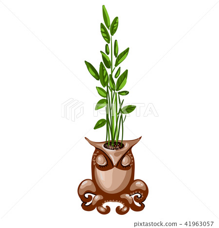 Office plant in a ceramic pot in the shape of an owl with tentacles of octopus isolated on white 41963057