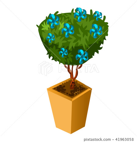 Bonsai with blue flowers isolated on white background. Vector cartoon close-up illustration. 41963058