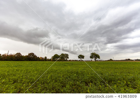 Autumn color typhoon bird's eye disaster agriculture countryside alps border Europe Europe free relaxation romantic Autumn color typhoon bird's eye disaster agriculture countryside alps border Europe Europe free relaxation romantic 41963809