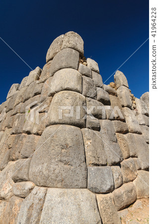 Saksaiwaman remains 41964228