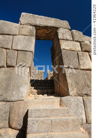 Saksaiwaman仍然存在 41964229