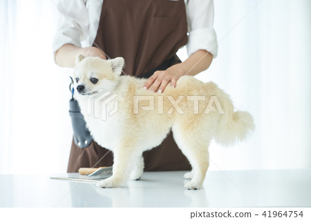 トリマー 41964754