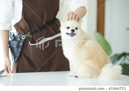 トリマー 41964755