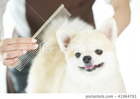 トリマー トリマー 41964781