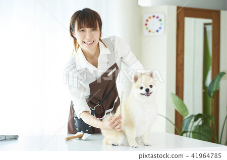 トリマー トリマー 41964785