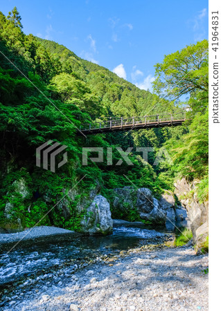 Hatonosu山谷 Hatonosu山谷 41964831