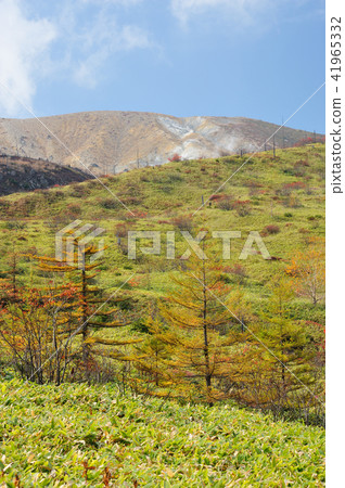 Yoshihira in autumn 41965332
