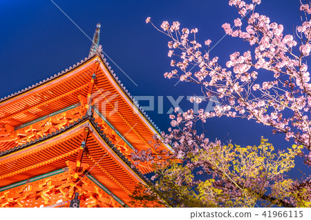 Kiyomizu-dera Temple, Triple Tower and Night Cherry Blossoms Illuminated (Kiyomizu, Higashiyama-ku, Kyoto-shi, Kyoto) *Photo location in comment section Kiyomizu-dera Temple, Triple Tower and Night Cherry Blossoms Illuminated (Kiyomizu, Higashiyama-ku, Kyoto-shi, Kyoto) *Photo location in comment section 41966115