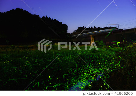 新幹線和螢火蟲 41966200