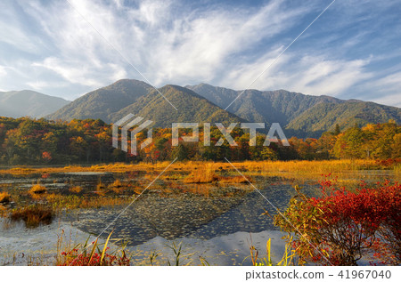 Kanonuma Forest Park 41967040