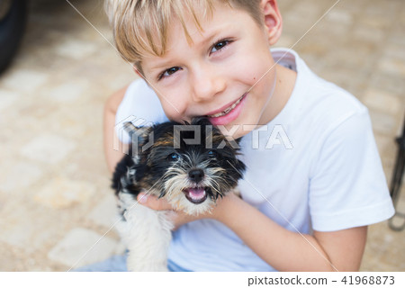 caucasian boy embraces puppy Yorkshire terrier caucasian boy embraces puppy Yorkshire terrier 41968873