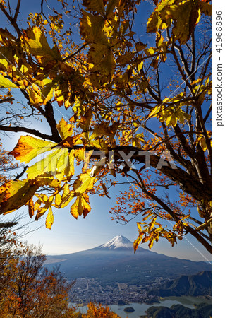 Mt. Fuji seen from Mt. Okaka Mountains of autumn leaves 41968896