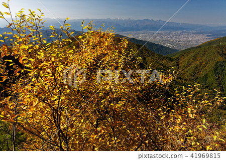 The leaves of Misaka Mountain · Budapestake and the Southern Alps distant view The leaves of Misaka Mountain · Budapestake and the Southern Alps distant view 41969815