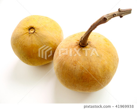 Santol fruit or sentul or red sentol yellow santol Santol fruit or sentul or red sentol yellow santol 41969938