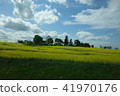 Rural landscape 41970176