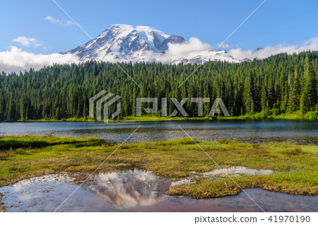 Mount Rainier reflected in a lake 41970190