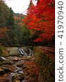 Autumn leaves of the lonely gorge 41970940