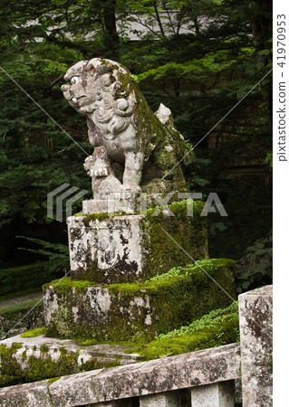 Koginu神社 Koginu神社 41970953