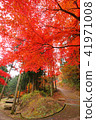 Autumn leaves of the lonely gorge 41971008