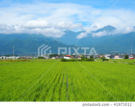Rural landscape and North Alps Rural landscape and North Alps 41971012