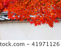 Hanyang Temple Autumn leaves 41971126