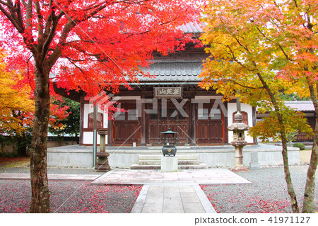 Hanyang Temple Autumn leaves Hanyang Temple Autumn leaves 41971127