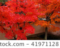 Hanyang Temple Autumn leaves 41971128