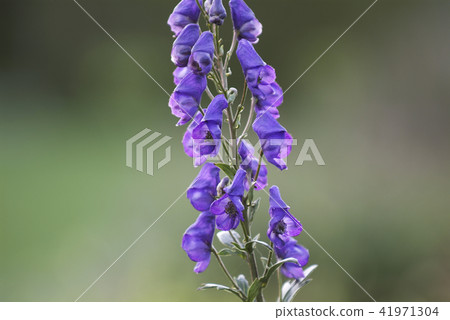 Yurihara Park Yurihara Park 41971304