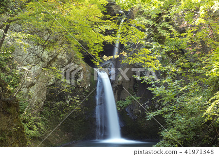 Stars Falls Sapporo City 41971348