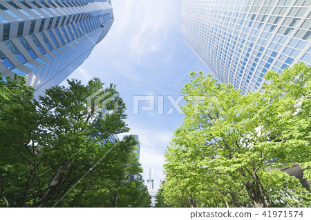 Tokyo landscape, skyscraper, fresh green Tokyo landscape, skyscraper, fresh green 41971574