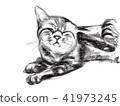 貓圖 41973245