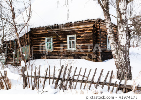 birch tree and old wooden rural house in winter 41974173