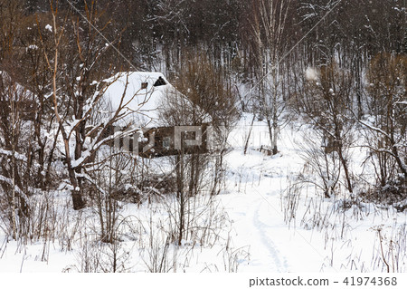 old wooden houses at the edge of forest in winter 41974368