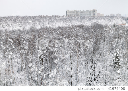 snow-covered urban park in winter evening snow-covered urban park in winter evening 41974408