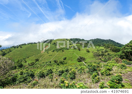 Summer green mountain landscape photograph Suzuka's Ryugaake climb 41974691