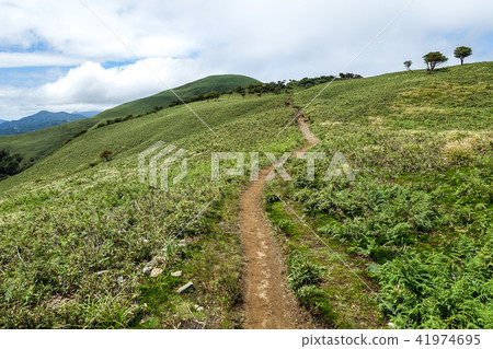 Summer green mountain landscape photograph Suzuka's Ryugaake climb 41974695