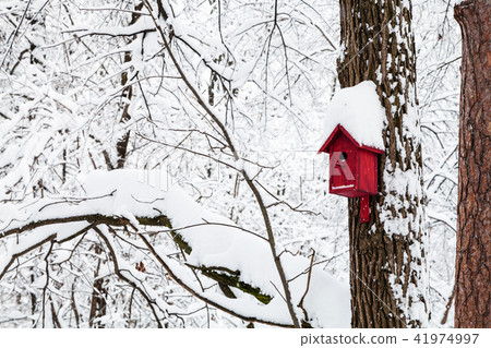 red bird house in winter forest red bird house in winter forest 41974997