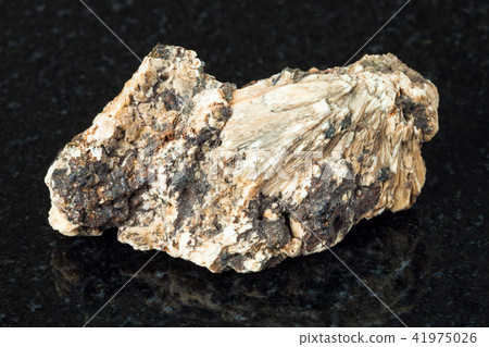 Perovskite stone in raw Clinochlore rock on black 41975026