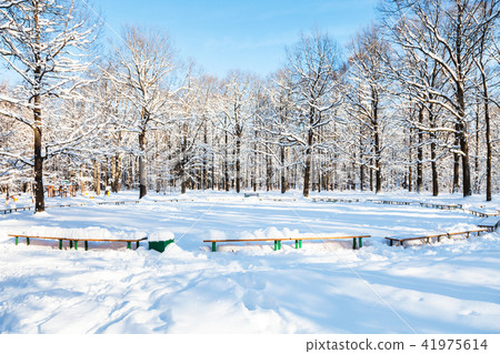 recreation area in urban park in sunny winter day recreation area in urban park in sunny winter day 41975614