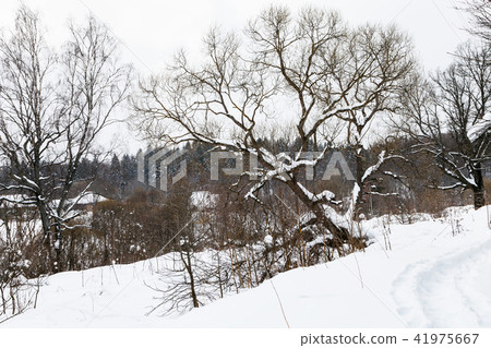 footpath and view of old russian village in winter footpath and view of old russian village in winter 41975667