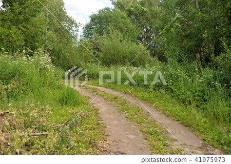 Rural road at summer day. Rural road at summer day. 41975973