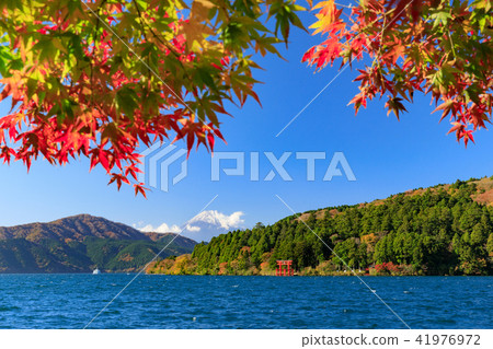 Mt. Fuji seen from Ashinoko 41976972