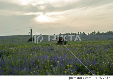 landscape with a machine for harvesting 41977816