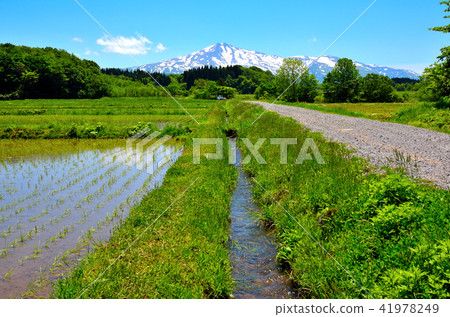 Natural view around Chokaiyama Natural view around Chokaiyama 41978249
