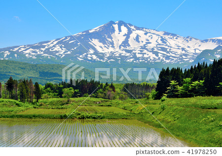 Natural view around Chokaiyama Natural view around Chokaiyama 41978250