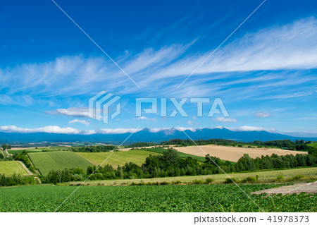 Hill landscape Hata Biei Kamifurano Furano 41978373