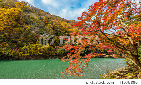 Arashiyama in autumn season along the river 41979886