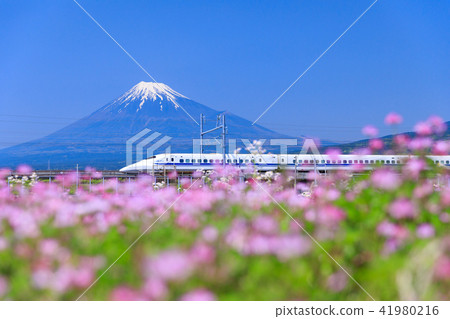 靜岡_富士和子彈列車 41980216