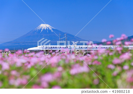 Shizuoka _ Fuji and the bullet train 41980218