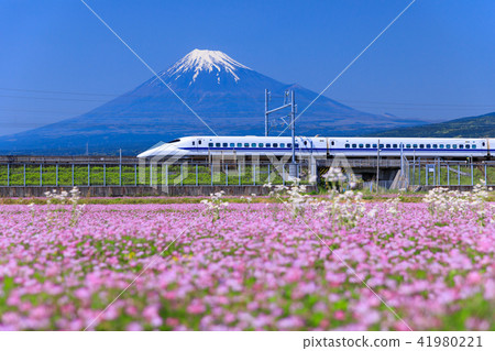 Shizuoka _ Fuji and the bullet train Shizuoka _ Fuji and the bullet train 41980221